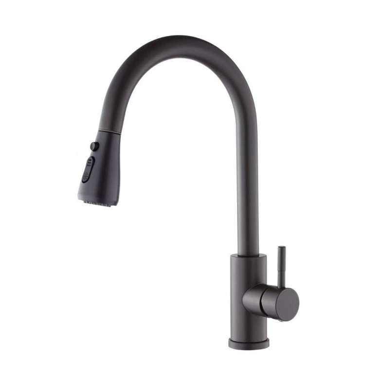 Virtuves izlietnes maisītājs ar izvelkamu izteku Aqualine Steel RV028