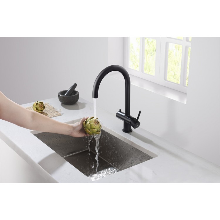 Virtuves izlietnes maisītājs dzeramajam ūdenim BLUE WATER EDEN, EDEN-BM