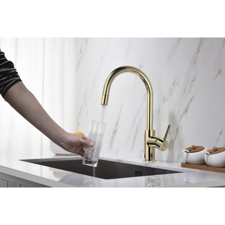 Virtuves izlietnes maisītājs ar izvelkamu izteku BLUE WATER PLAZA, zelts