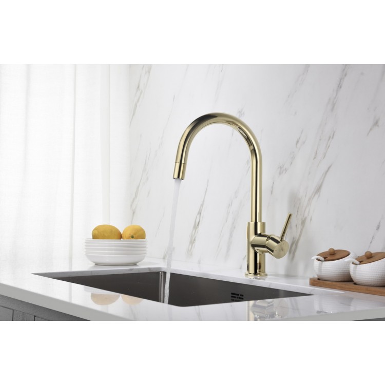 Virtuves izlietnes maisītājs ar izvelkamu izteku BLUE WATER PLAZA, zelts