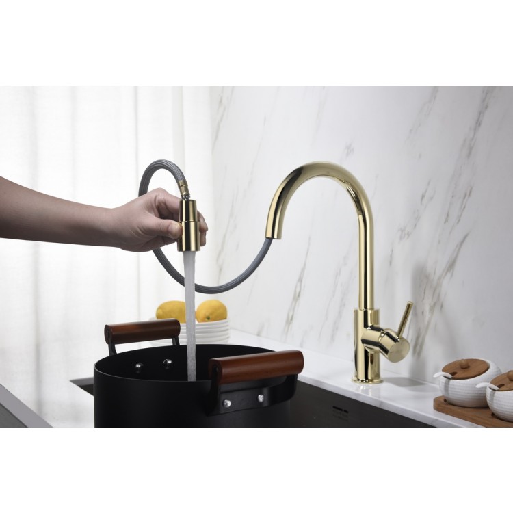 Virtuves izlietnes maisītājs ar izvelkamu izteku BLUE WATER PLAZA, zelts