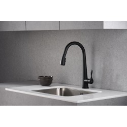 Virtuves izlietnes maisītājs ar izvelkamu izteku BLUE WATER STABILI, melns matēts