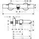 Vannas un dušas termostata maisītājs Hansgrohe Ecostat Fine, 13325670
