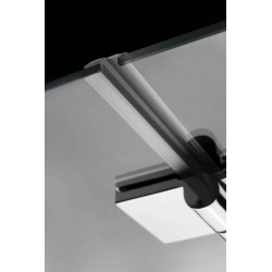 Dušas durvis Radaway Carena DWJ 120cm L/R