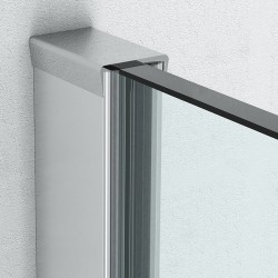 Dušas siena Roth AI TWF 100x202 cm, hroms/stikls