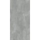 Apdares panelis Roth Vipanel 210x100cm, concrete-antracite