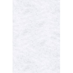 Apdares panelis Roth Vipanel 210x100cm, marble-white