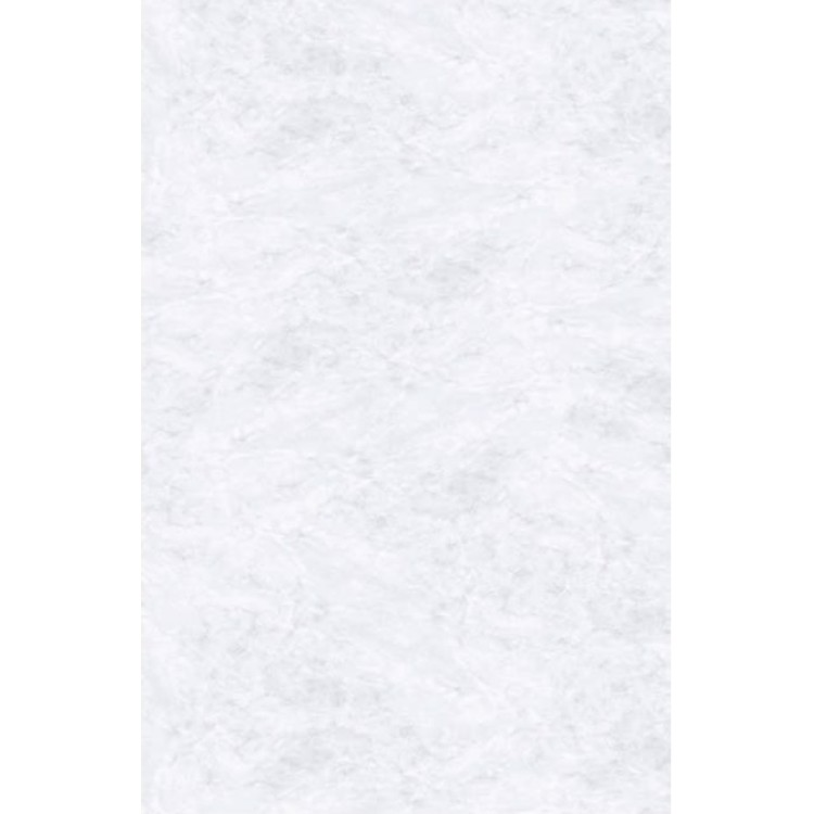 Apdares panelis Roth Vipanel 210x100cm, marble-white