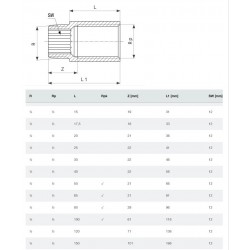Viega Bronzas pagarinātājs 1/2x100mm