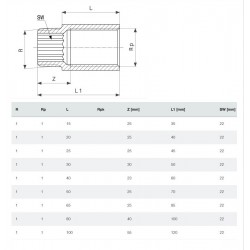 Viega Bronzas pagarinātājs 1x100mm
